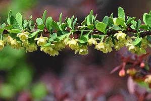 2025-05027020 Pointe Rok, MA